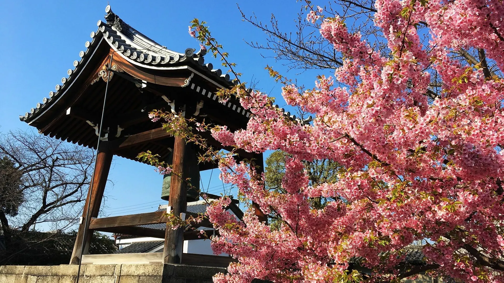 Stay Sakura Kyoto Toji South I Japan