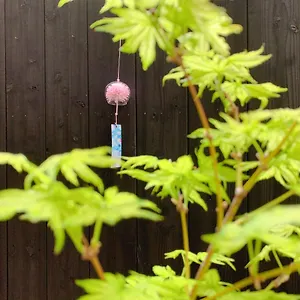 Holiday home 桃夭庵 Touyouan Momo House Kujo 一棟貸切, Kyoto